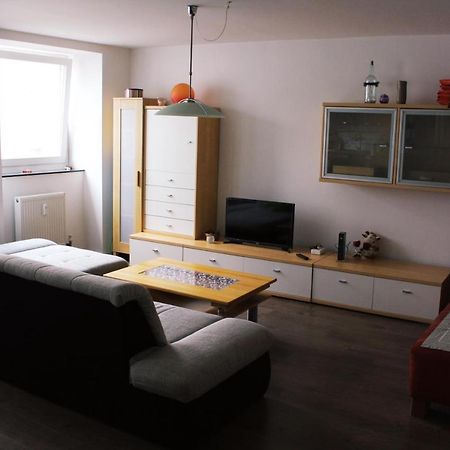 Full Flat 3 Bedrooms Saarbrucken Center -11 People Zewnętrze zdjęcie